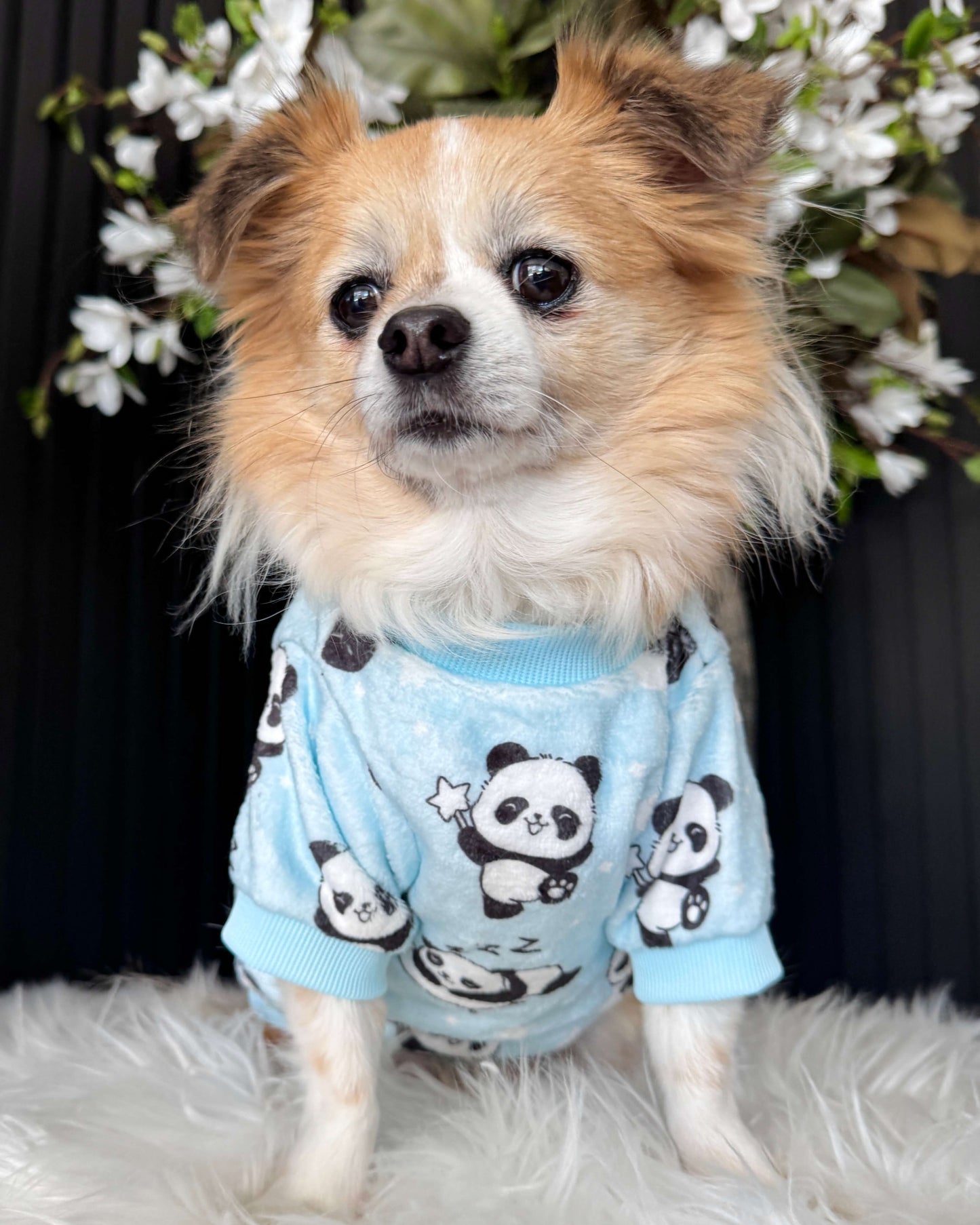 Panda Snuggle Jumper