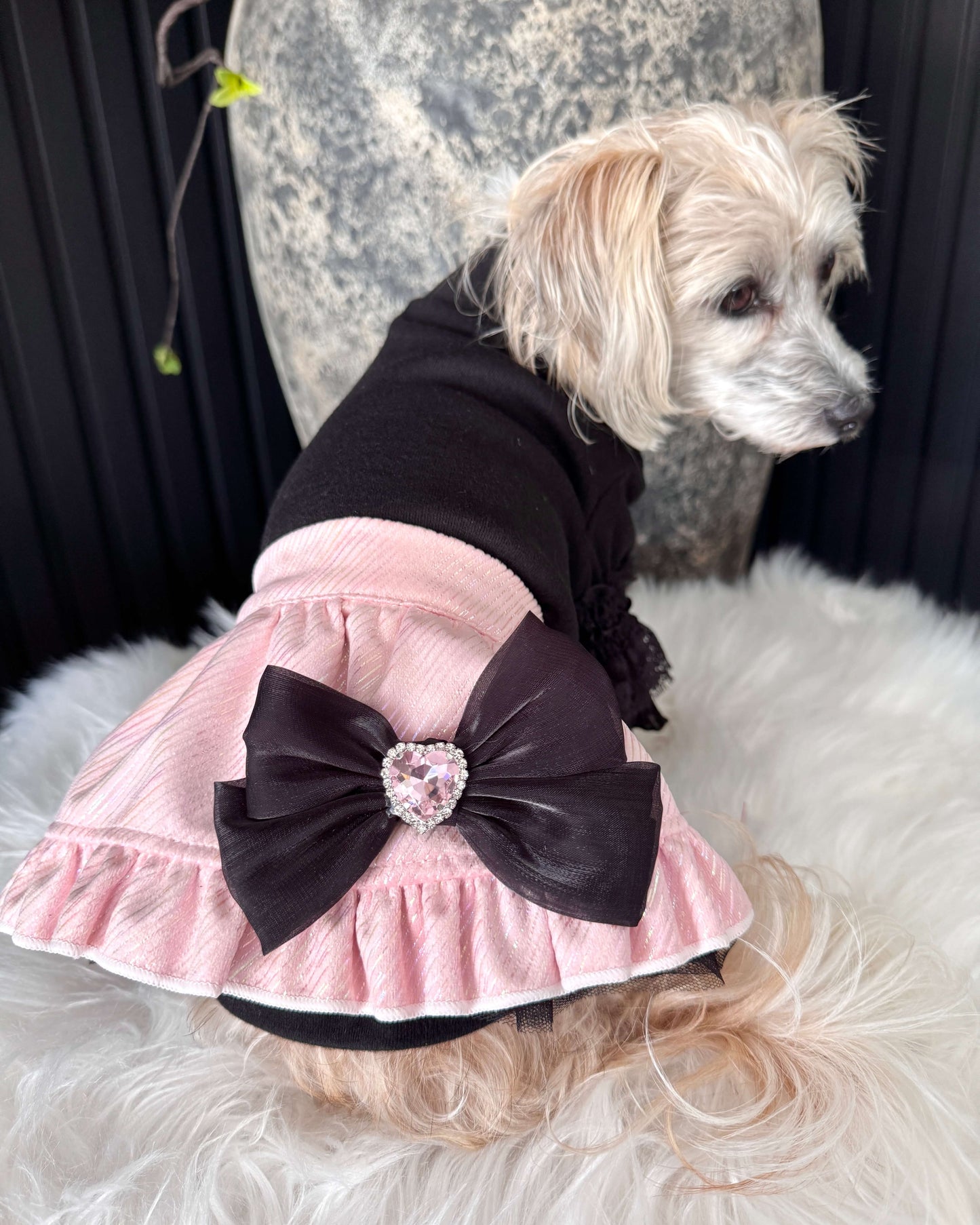 Belle Amelie Set