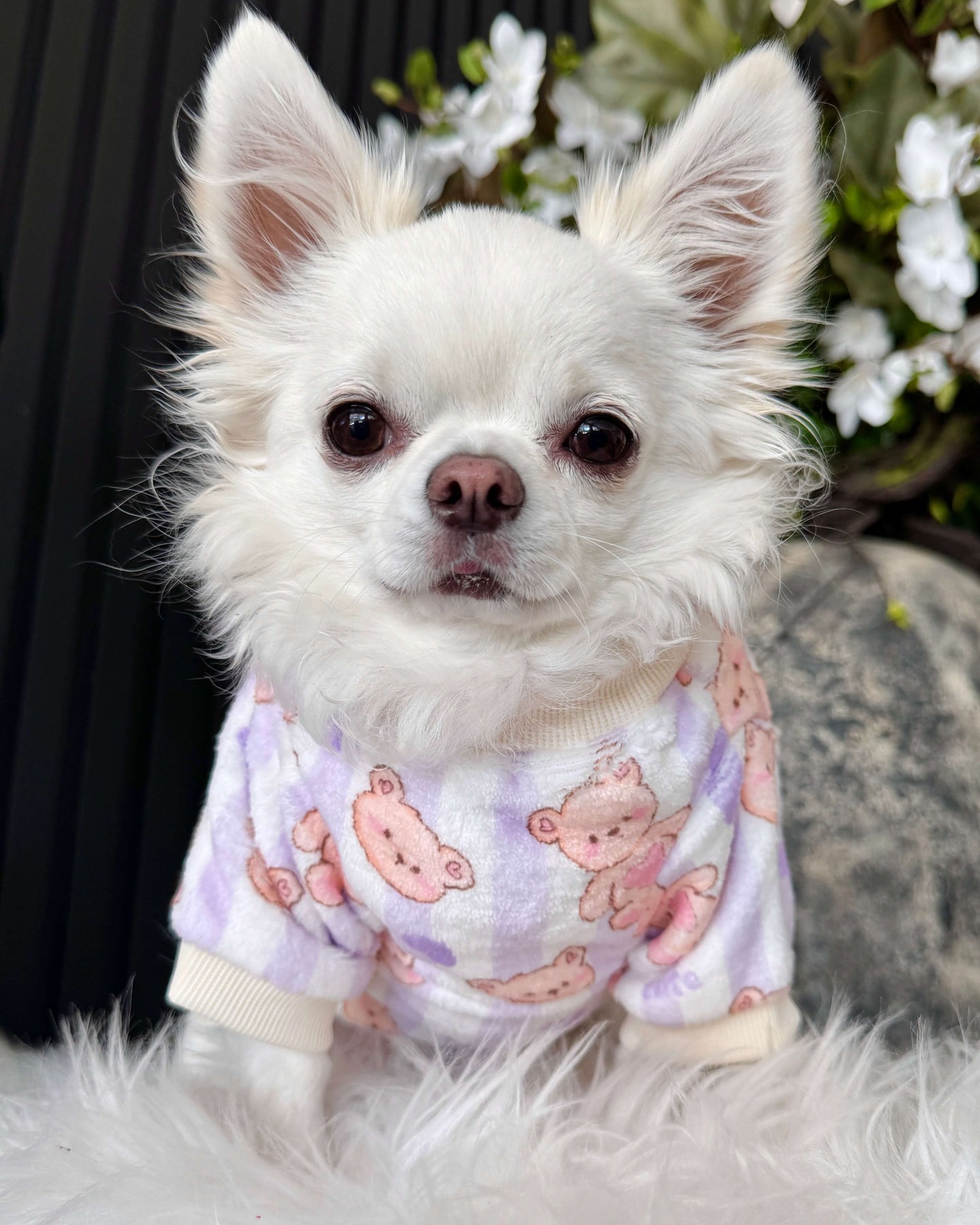 Purple Bear Snuggle Jumper