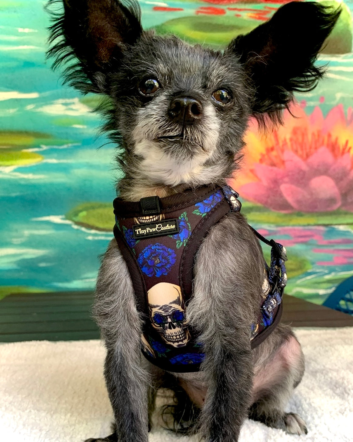 Wet'n'Wild Midnight Rebellion Harness