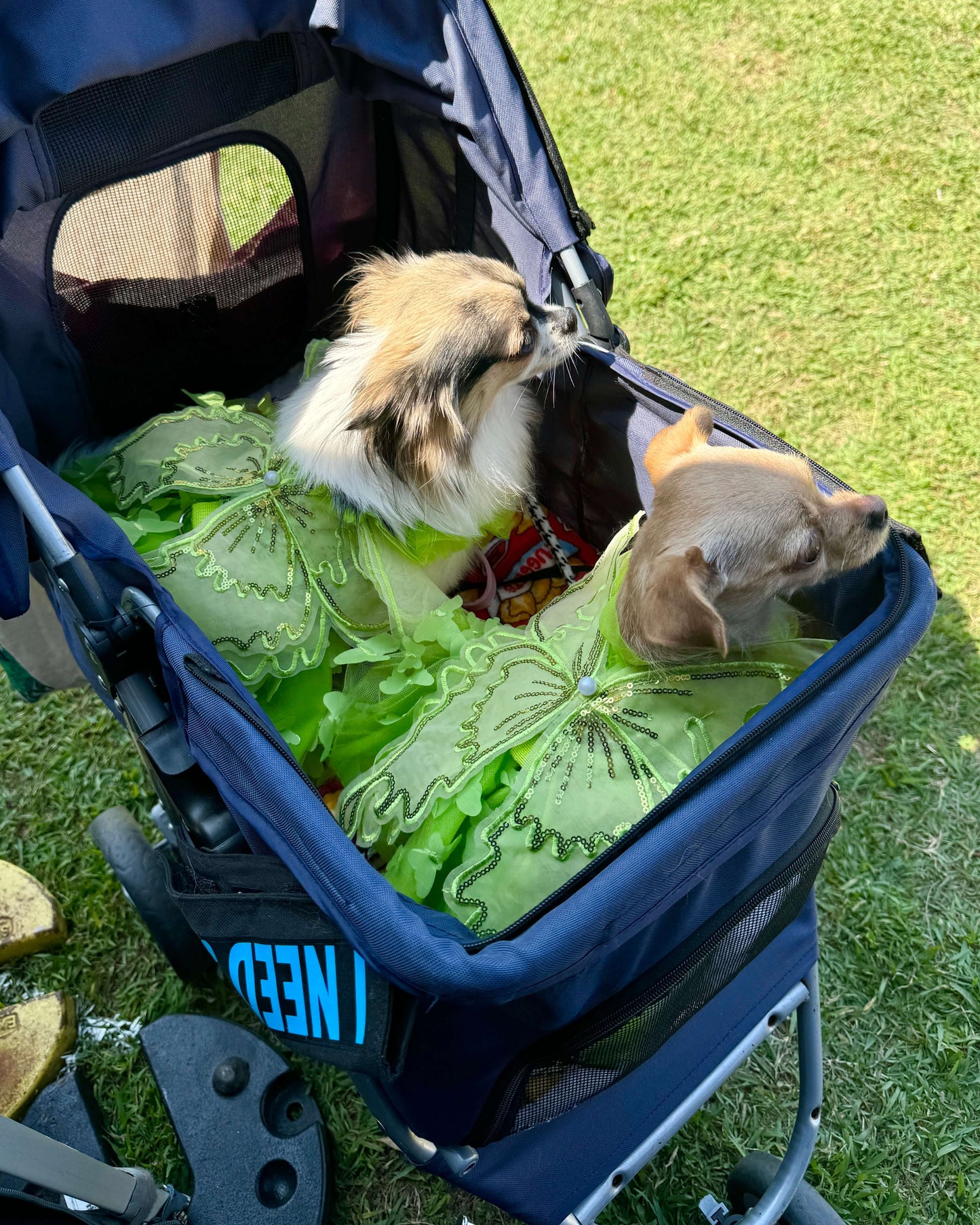 Tinkerbell Tutu