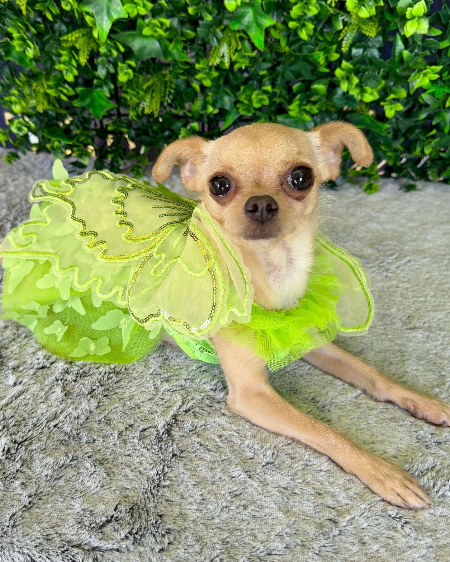Tinkerbell Tutu