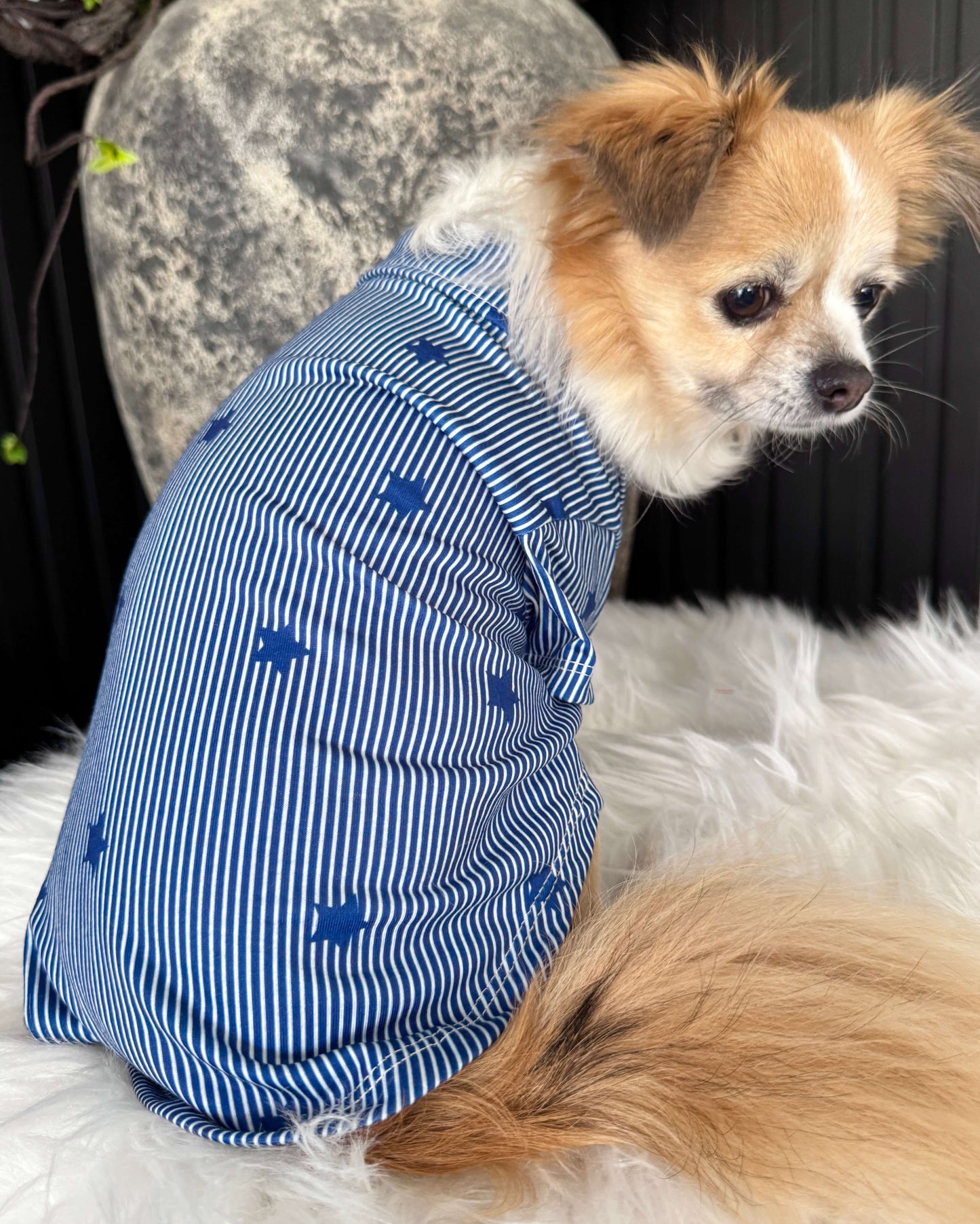 Distinguished Star Shirt