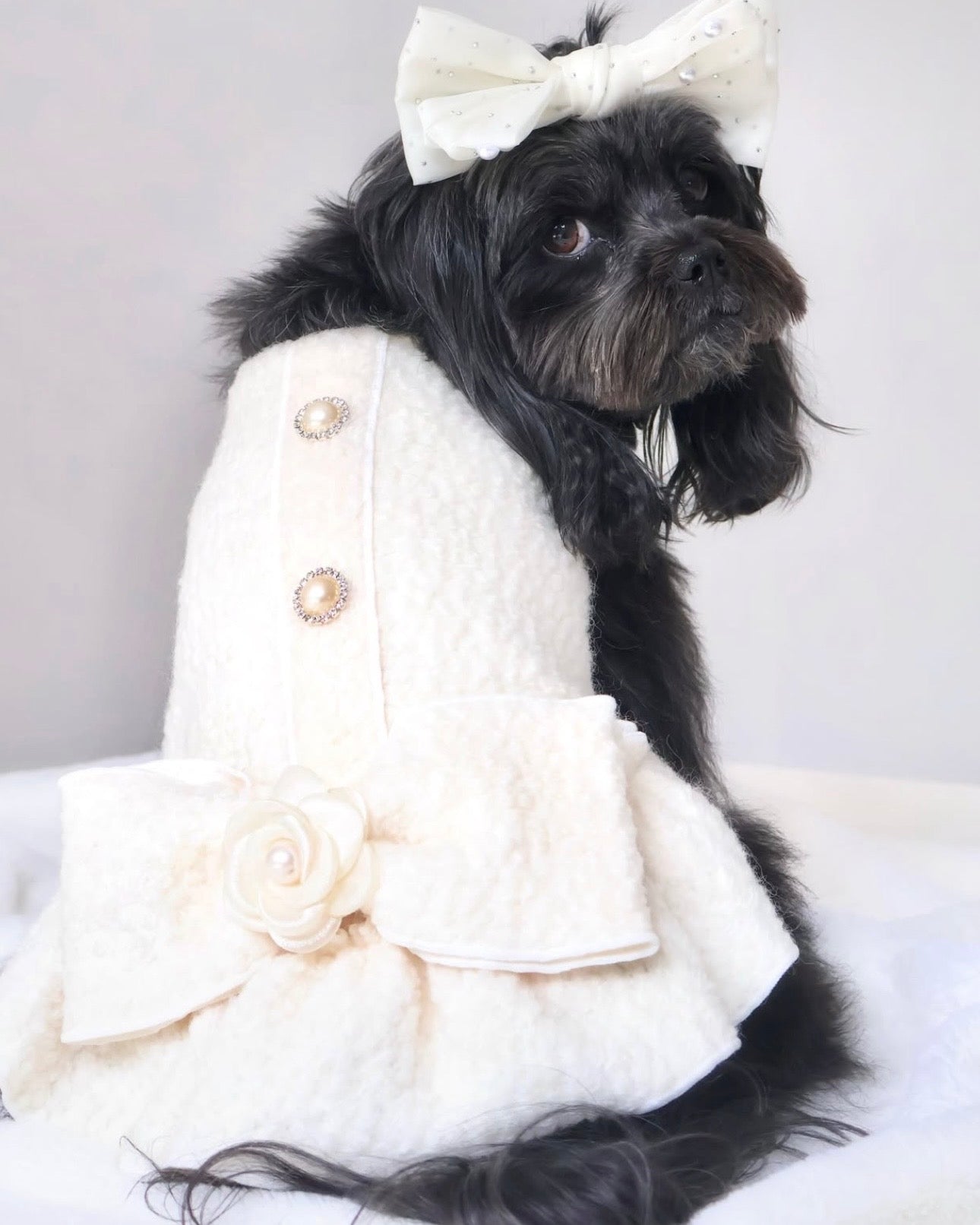 Elodie Luxury Winter Dress