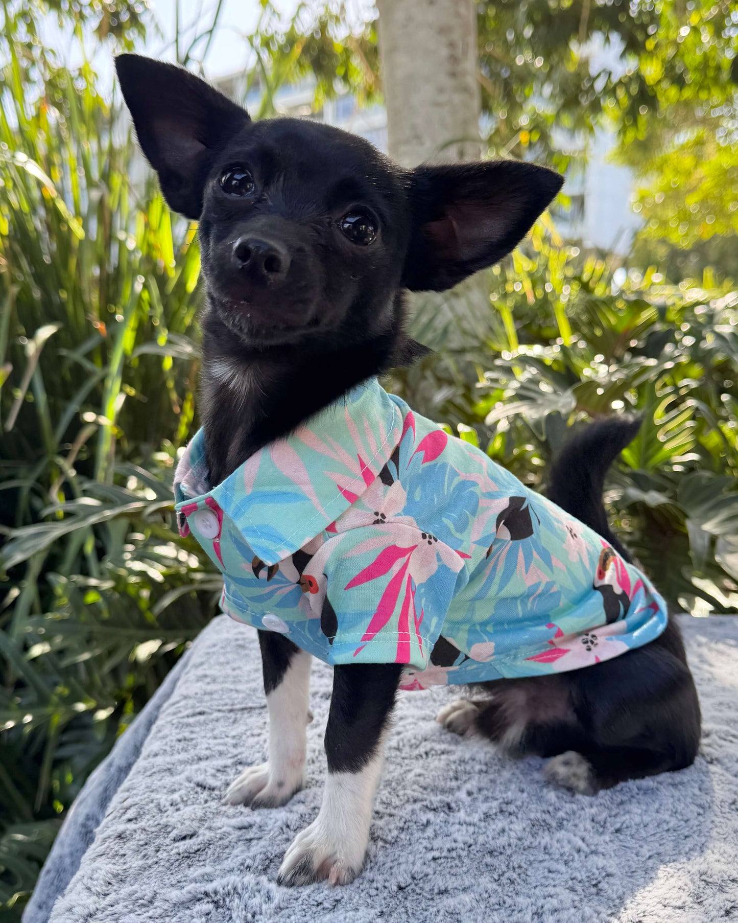 Tropical Toucan Paradise Shirt