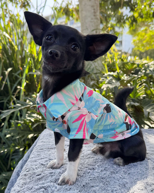 Tropical Toucan Paradise Shirt