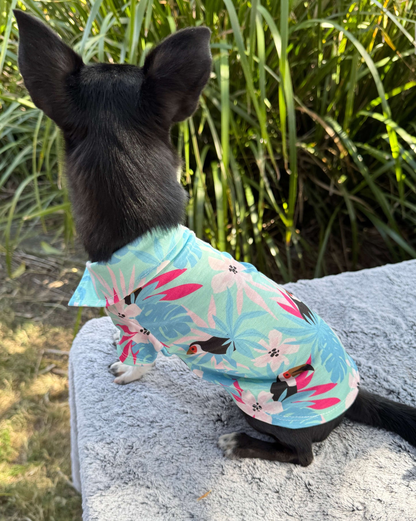 Tropical Toucan Paradise Shirt