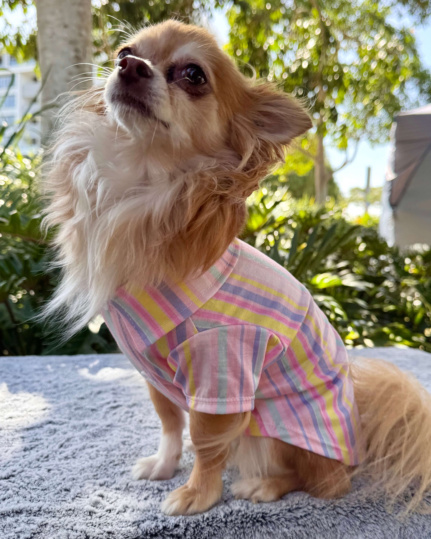 Pastel Riviera Shirt