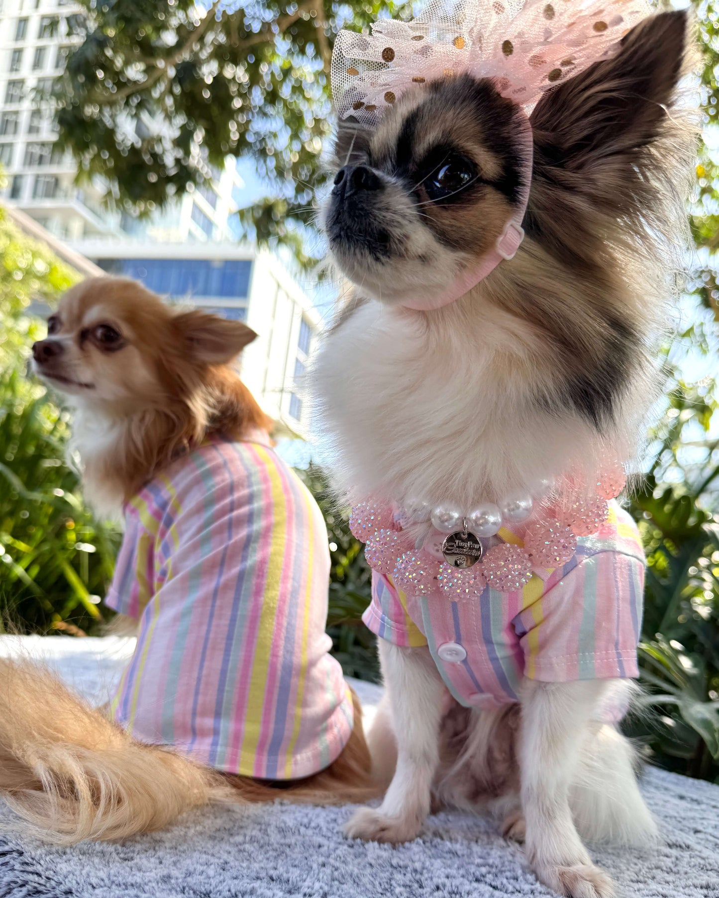 Pastel Riviera Shirt