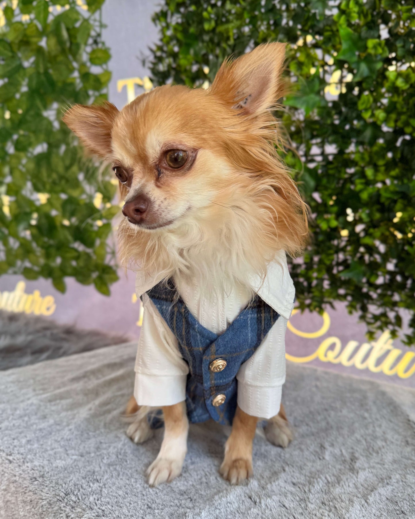 Hudson Heritage Jacket