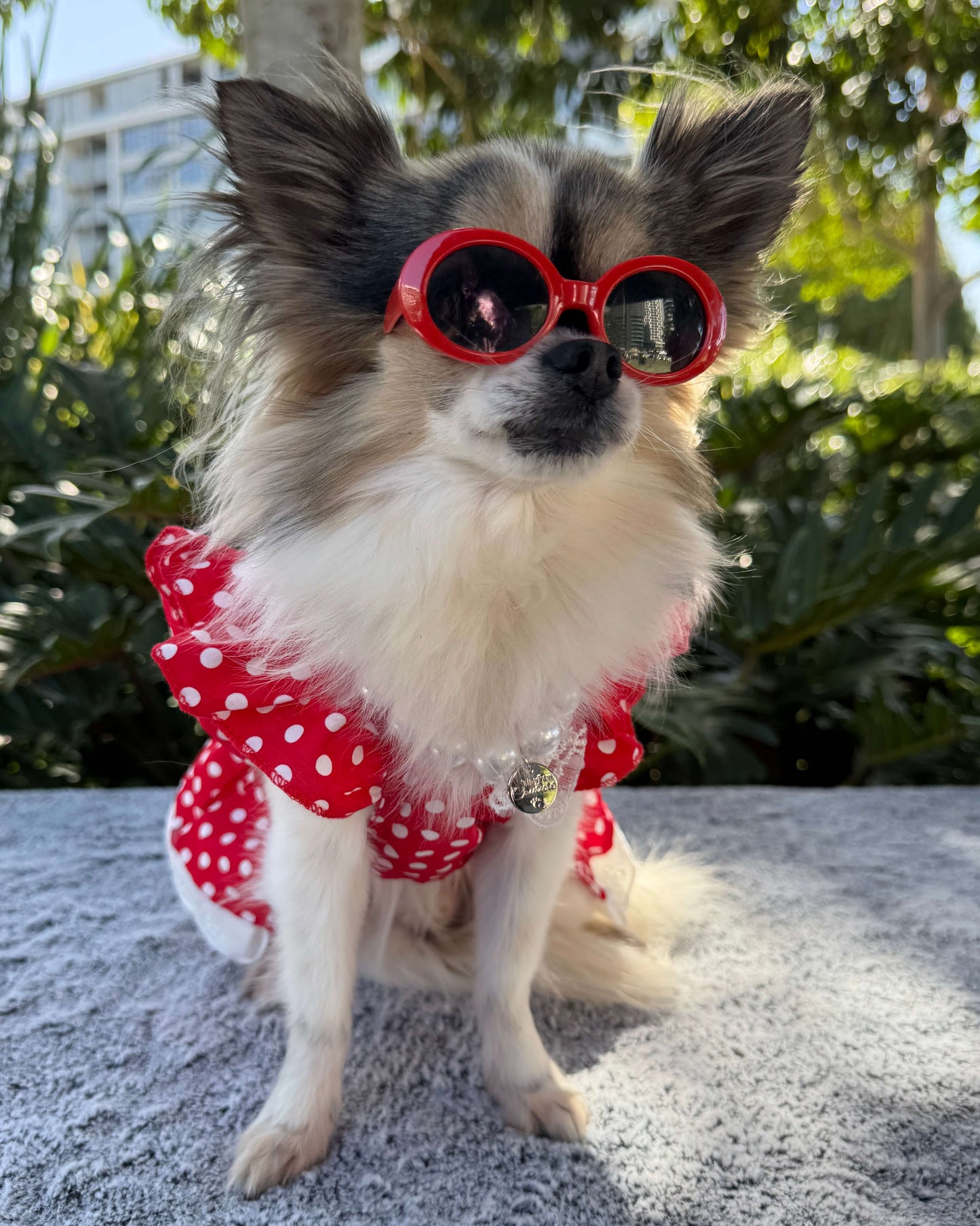 Bethany Red Polka Dot