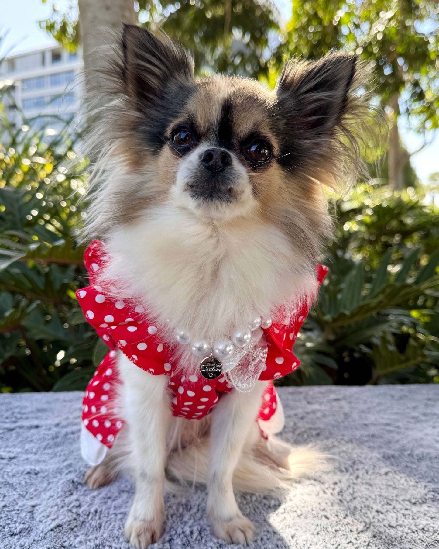 Bethany Red Polka Dot