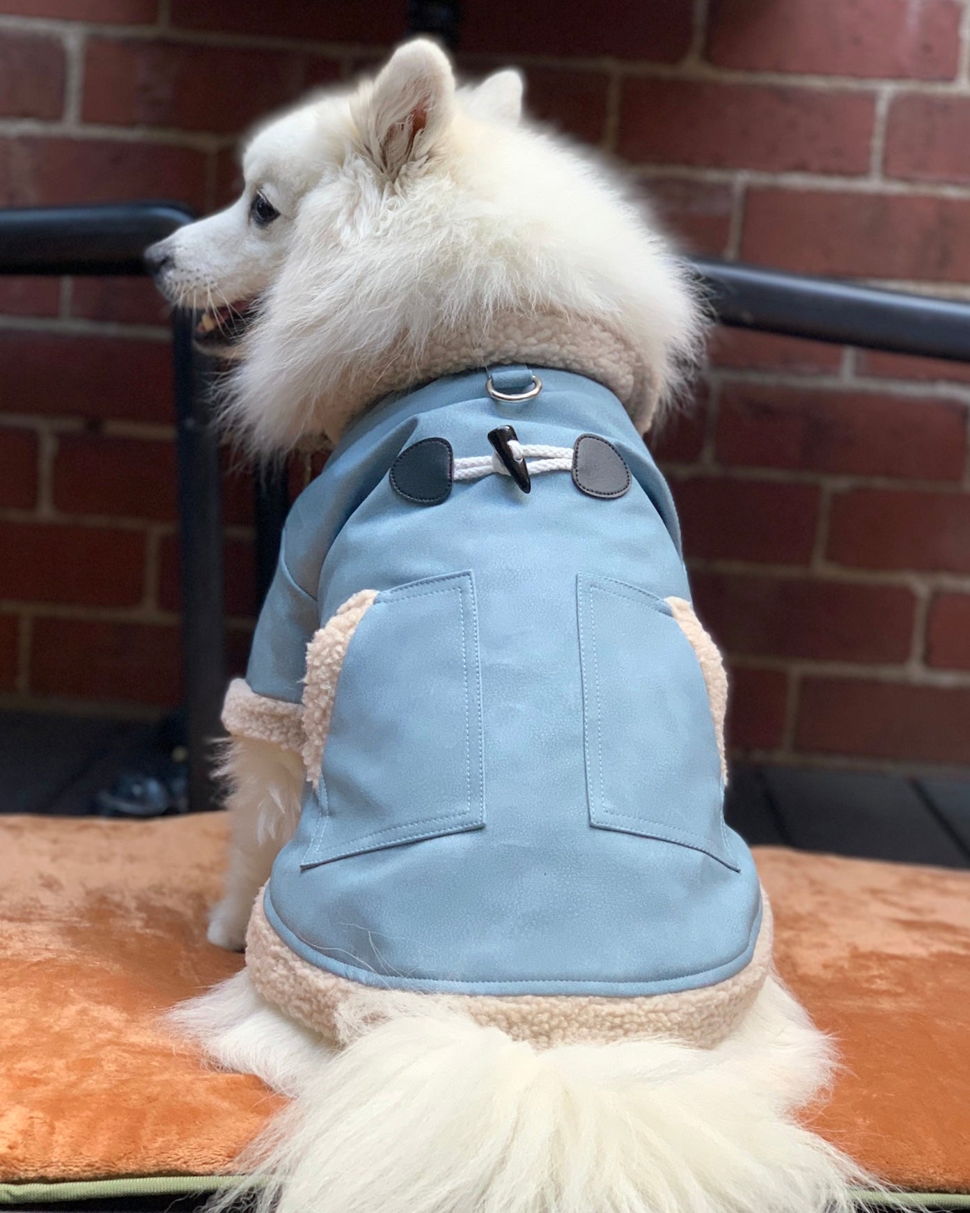 Nova Sherpa Jacket