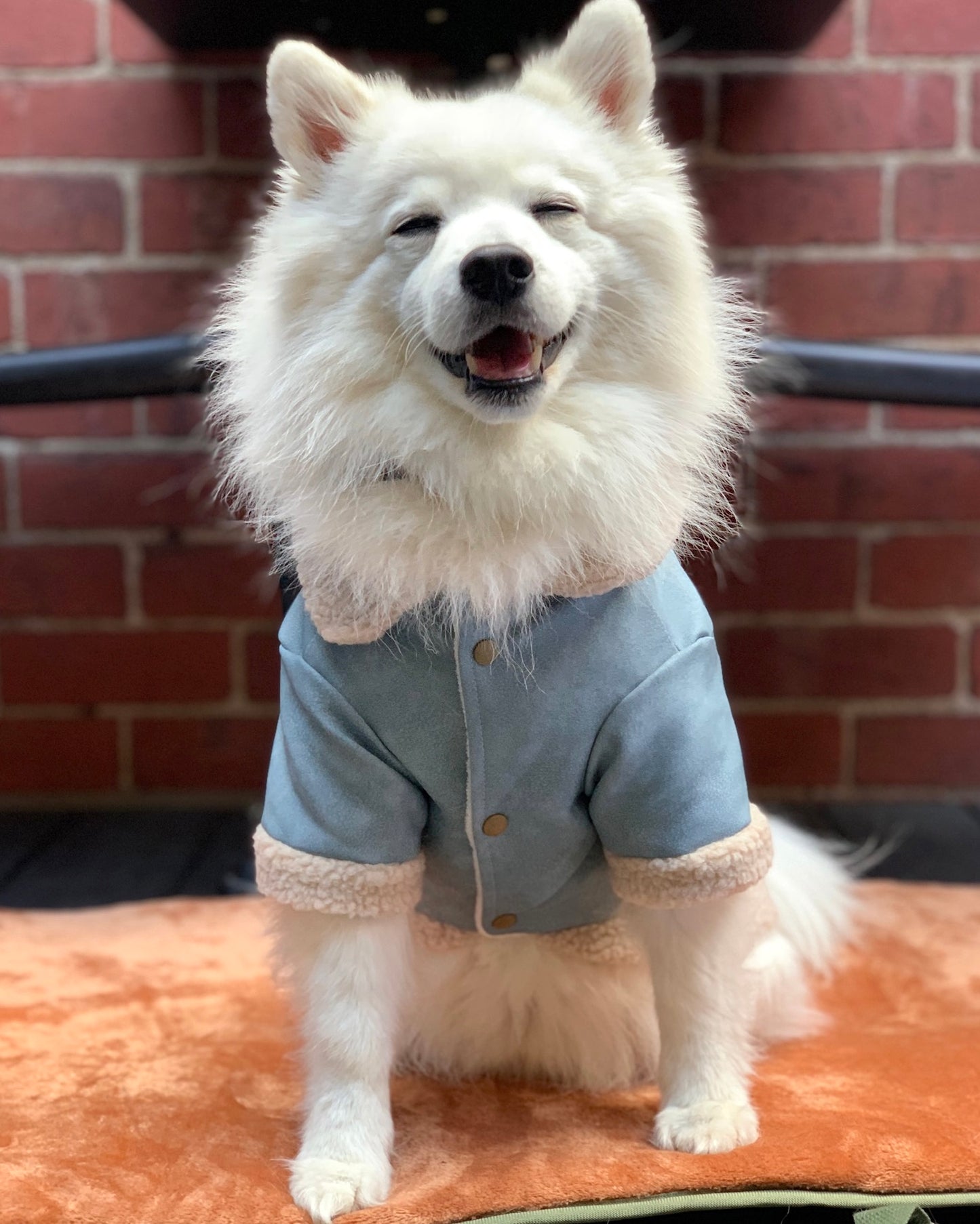 Nova Sherpa Jacket