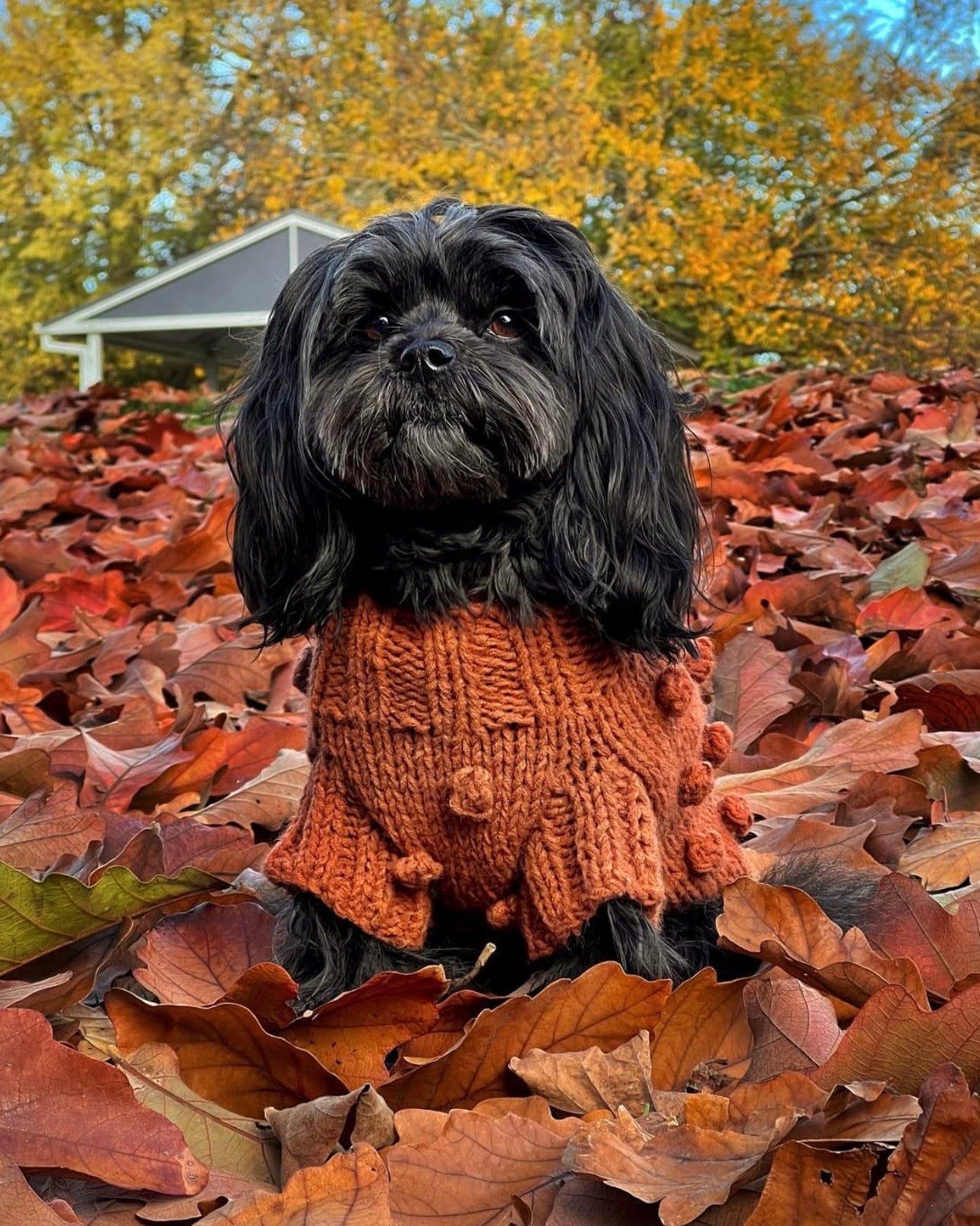 Pom Pom Knit Terracotta