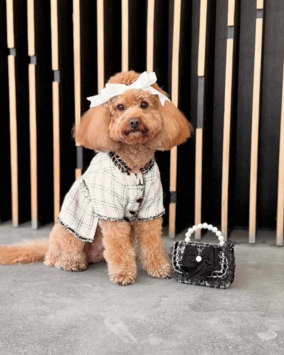 Tiny Paw Couture Mini Bag - Noir Belle Luxe
