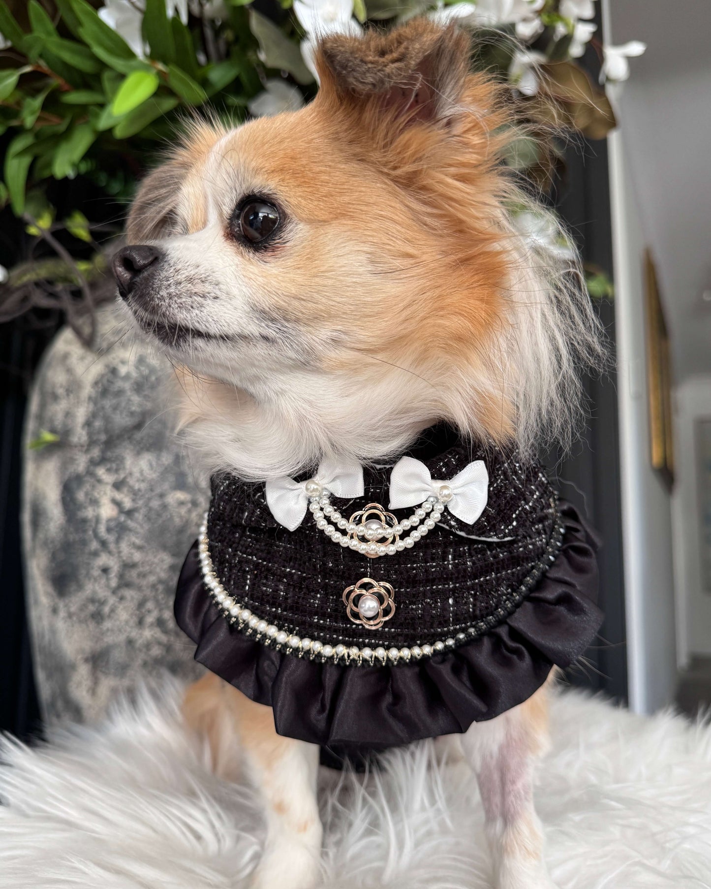 Monique Noir Pearl Bandana