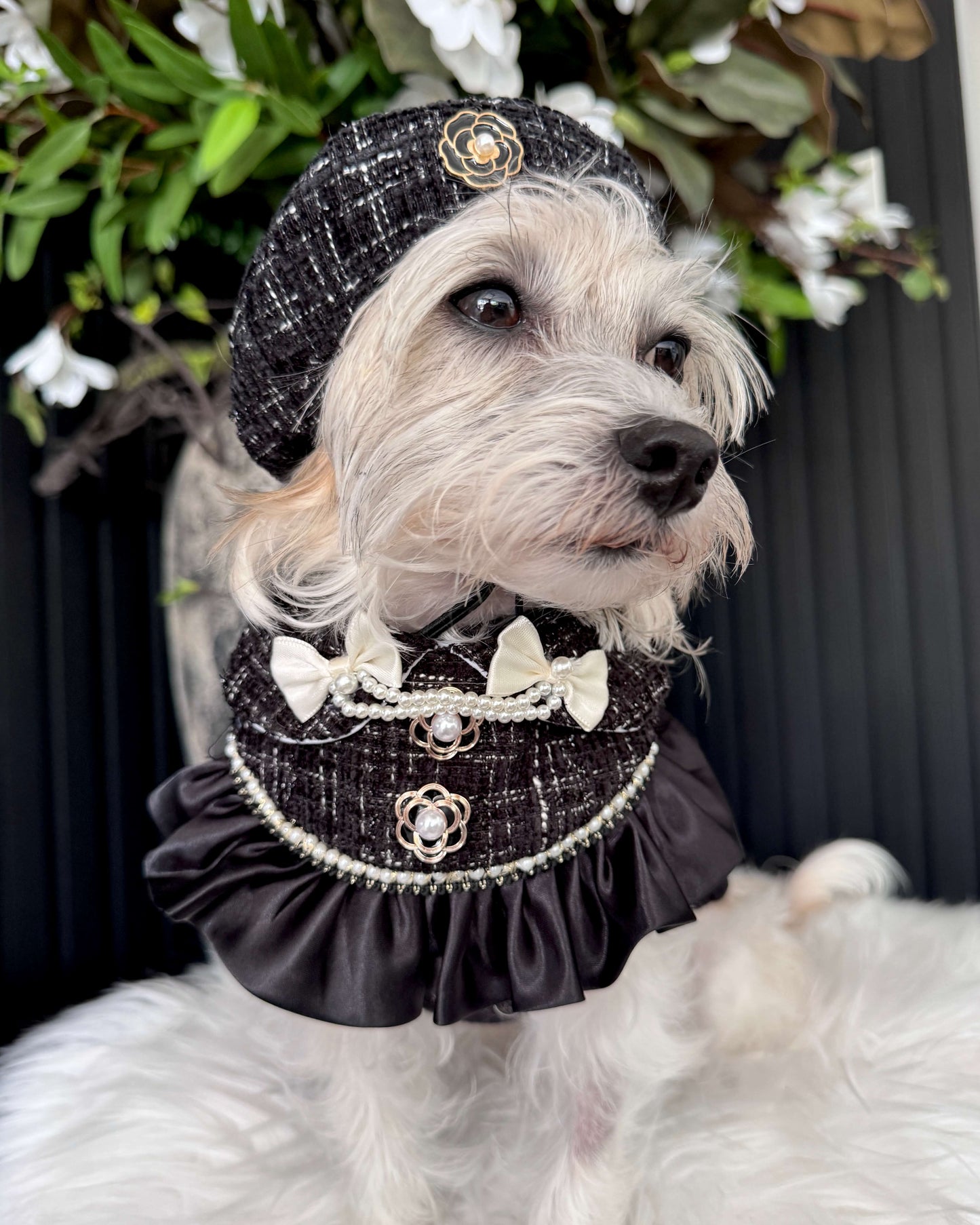 Monique Noir Pearl Bandana