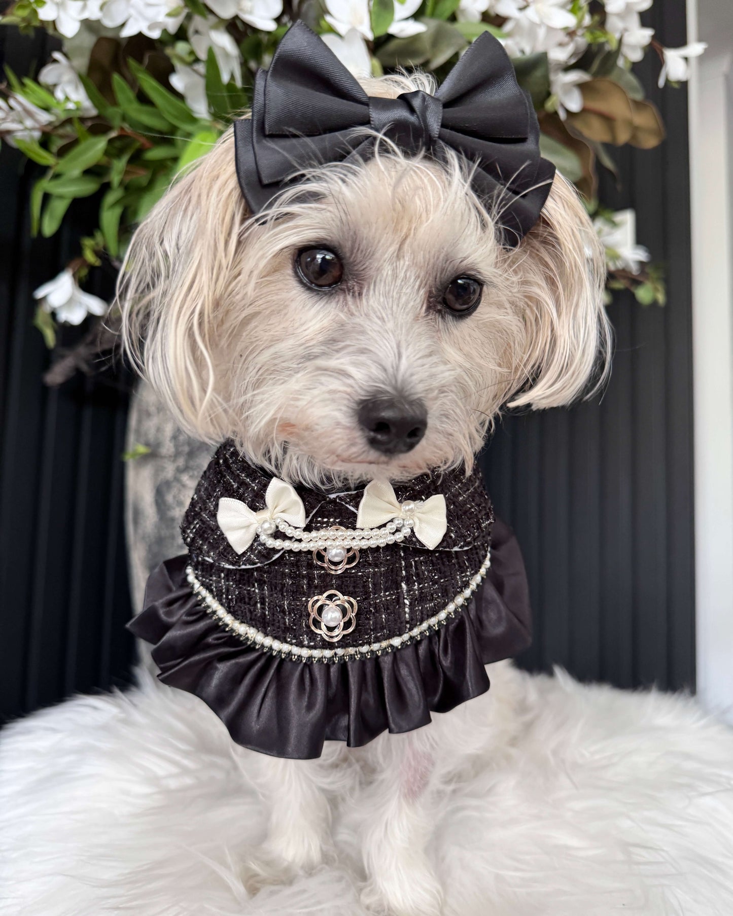 Monique Noir Pearl Bandana