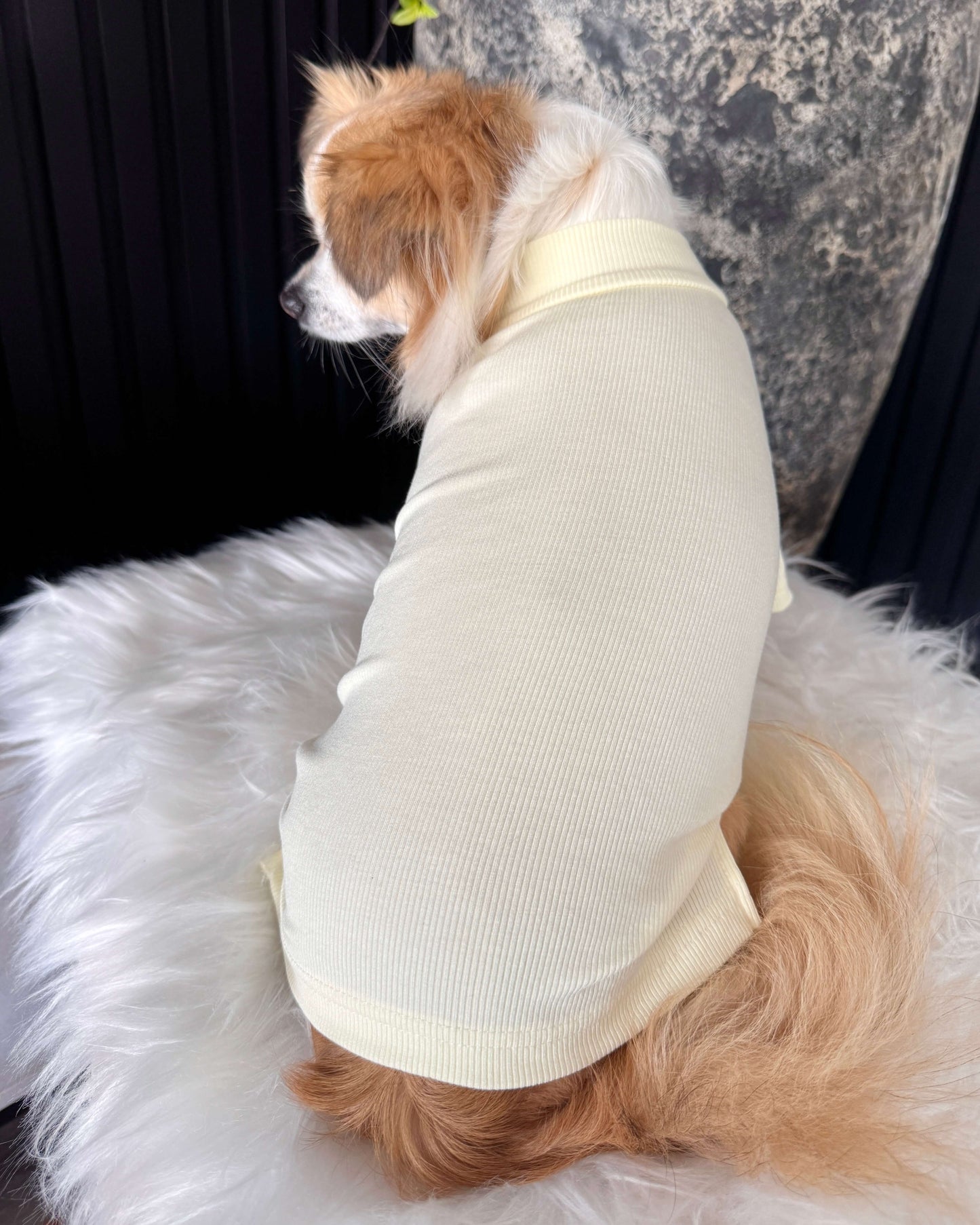 Arlo Short Sleeve Top Yellow