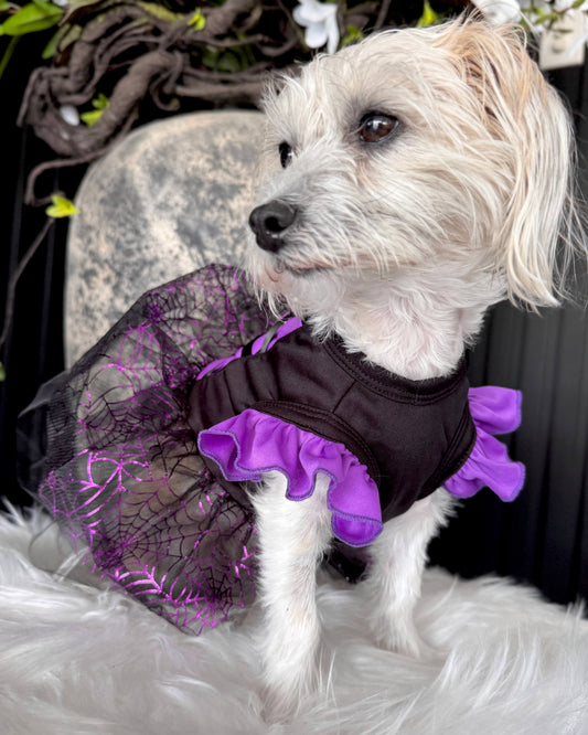Wicked Witch Tutu