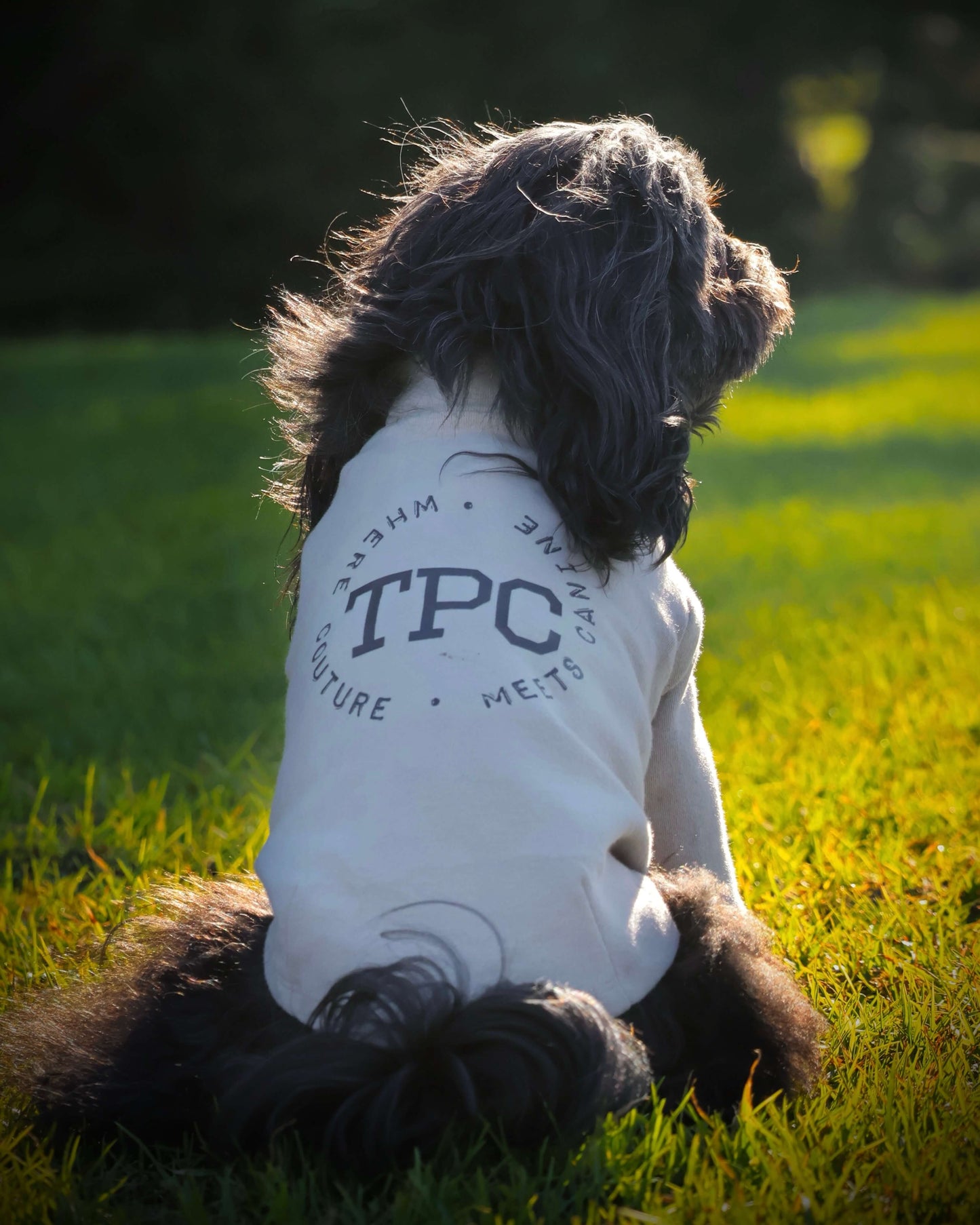 TPC Signature Long Sleeve Top Beige