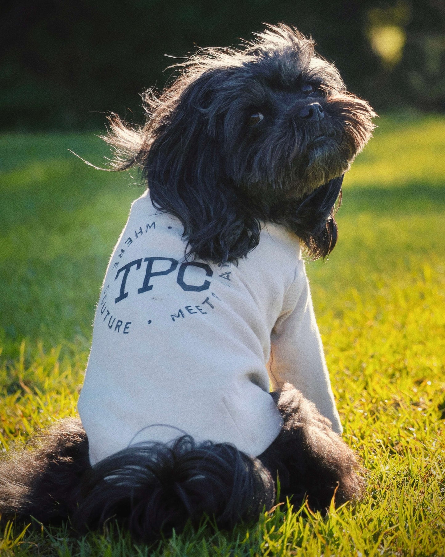 TPC Signature Long Sleeve Top Beige