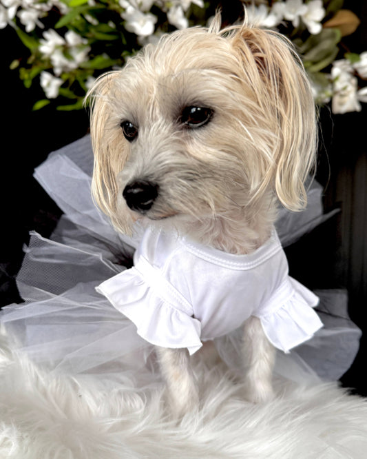 Spooky Gost Tutu