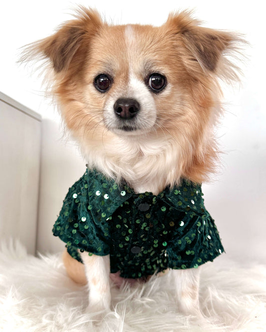 Green Velvet Sequin Shirt