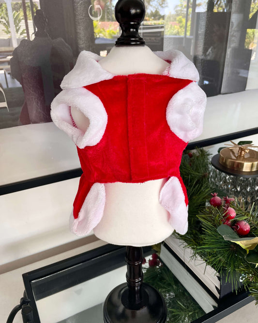 Santa Baby Dress