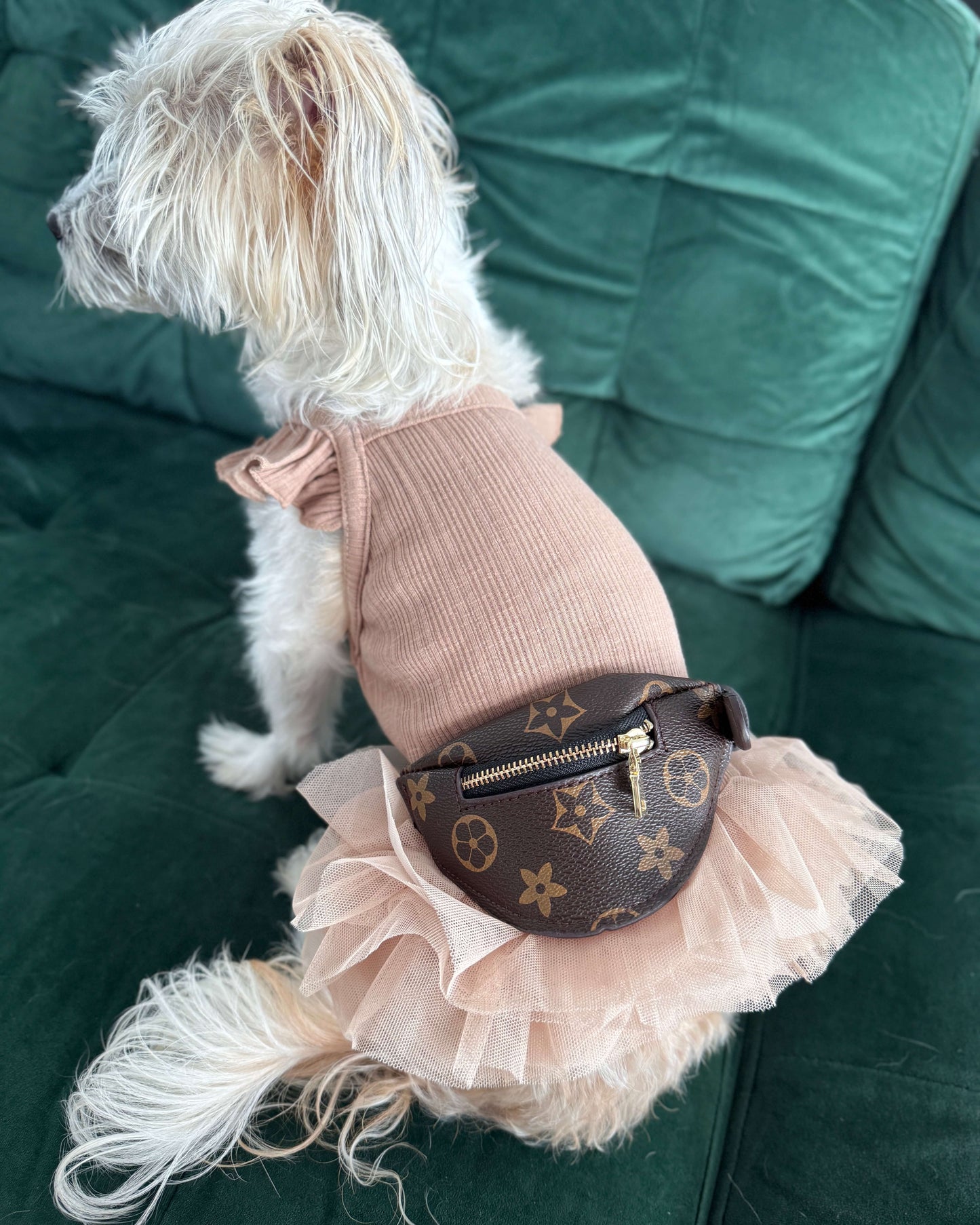 Grace Coco Tutu Dress