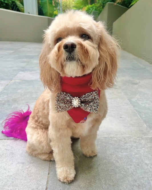 Amari Deluxe Bandana Red