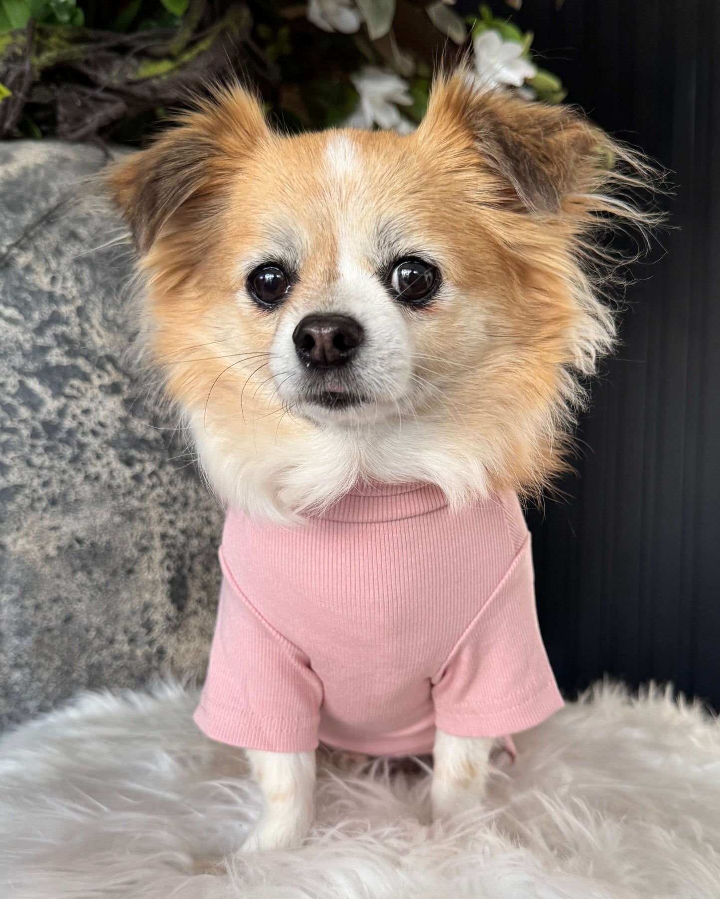 Arlo Short Sleeve Top Pale Pink