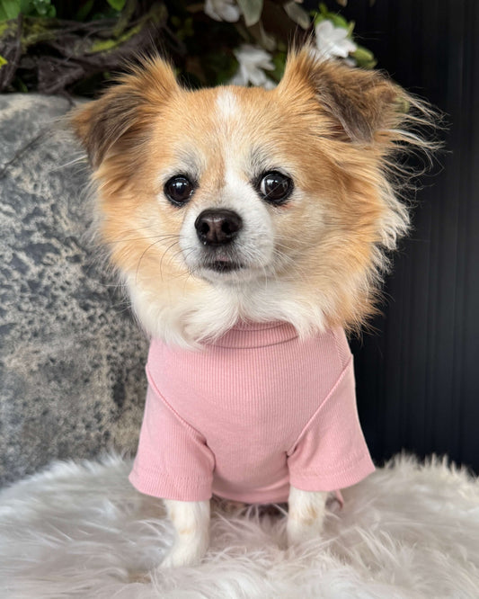 Arlo Short Sleeve Top Pale Pink