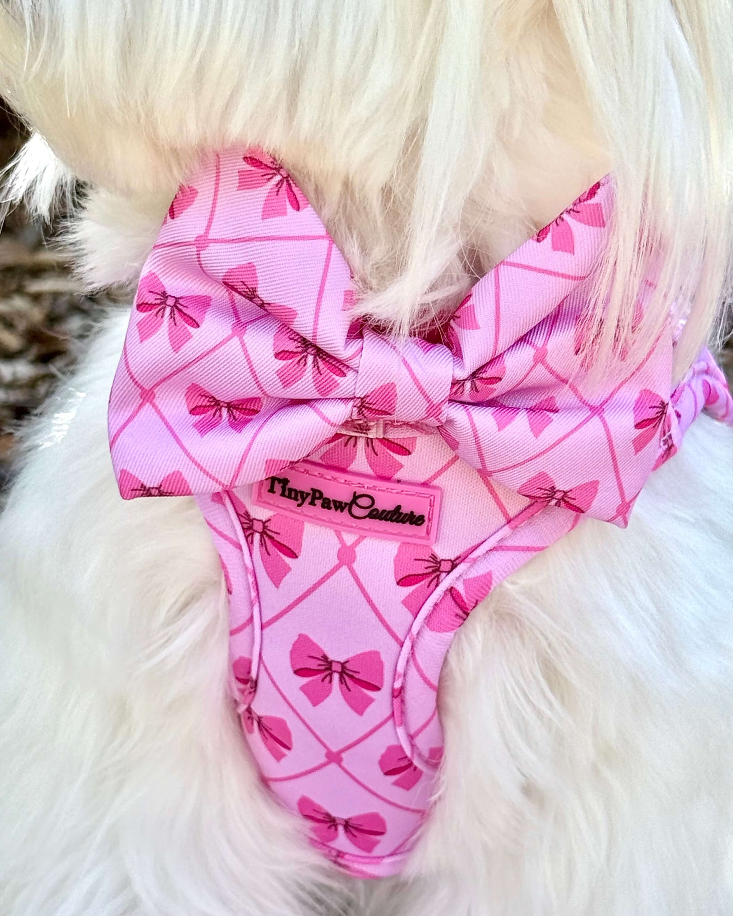 Wet'n'Wild Valentina Bow