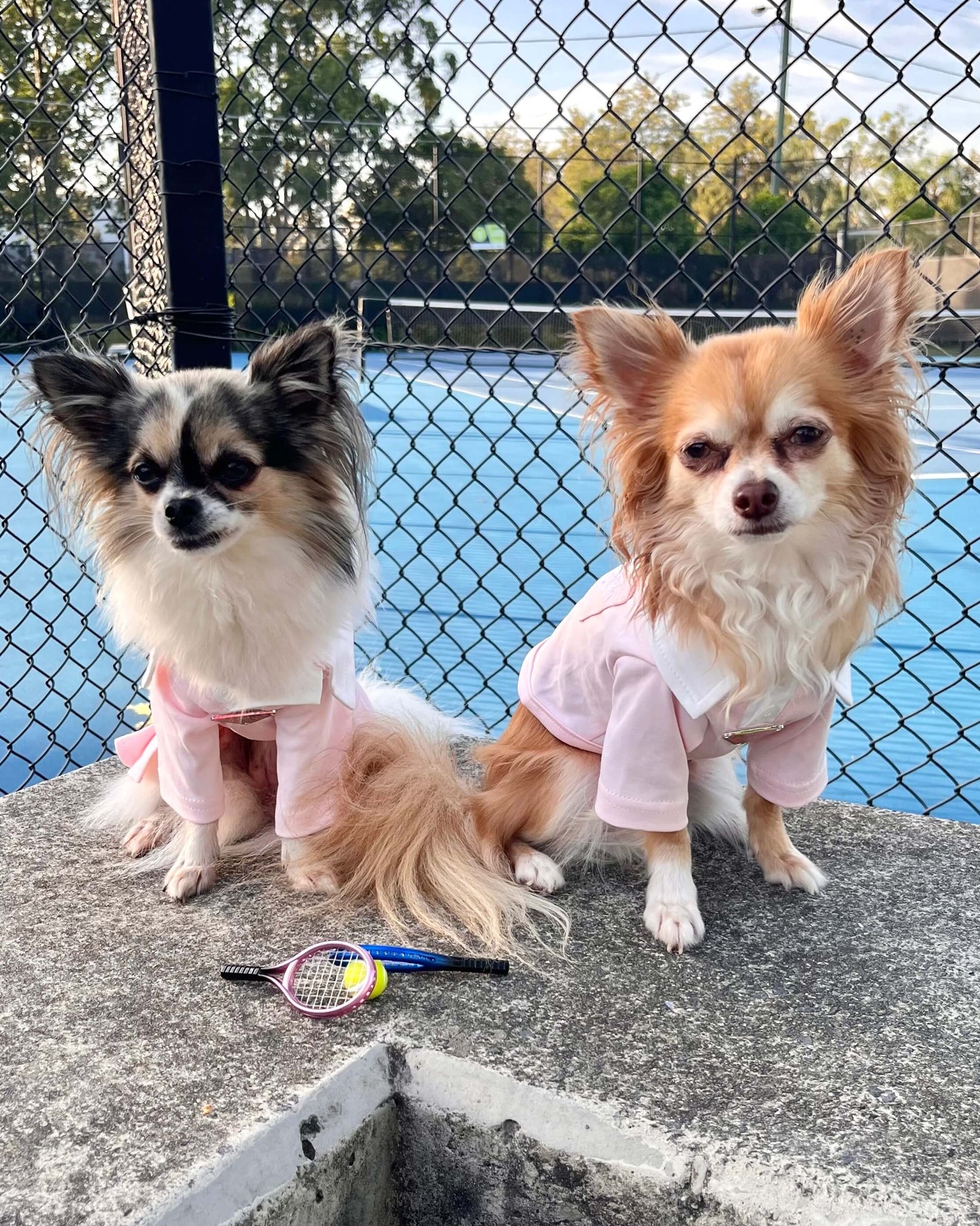 Pawda Polo Shirt Pink