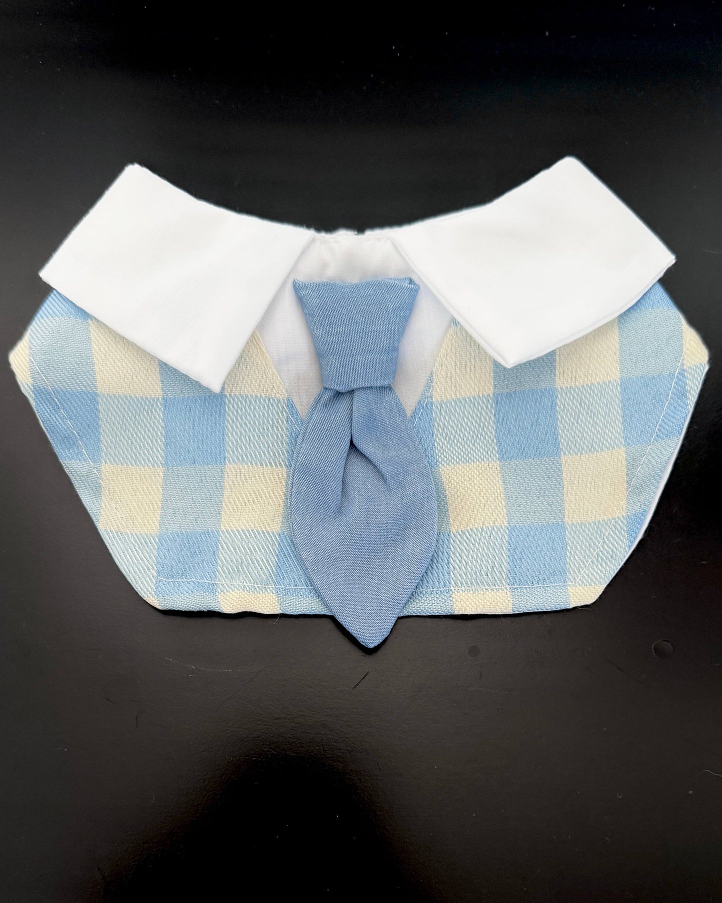 Sunday Best Bandana