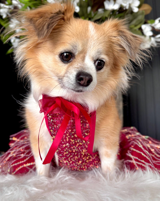 Deluxe Festive Dress Red