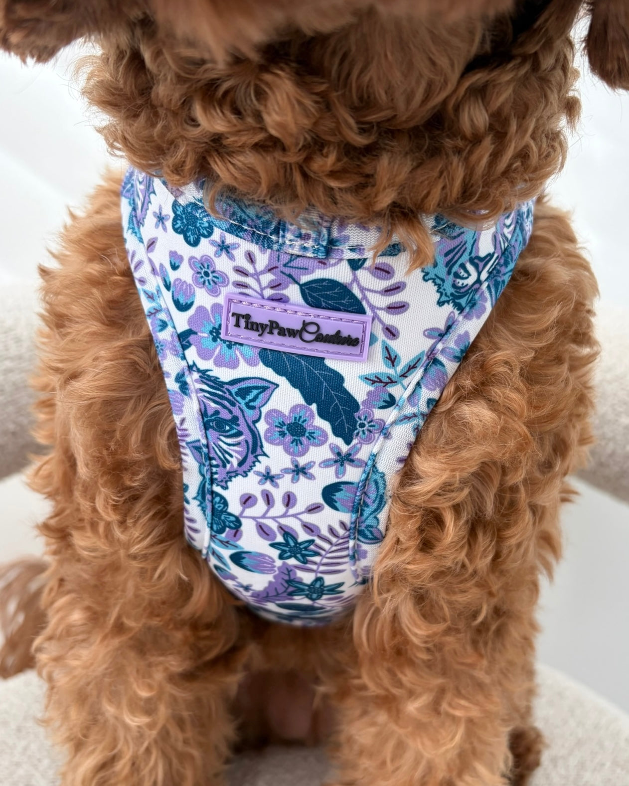 Wet'n'Wild Azure Huntress Harness