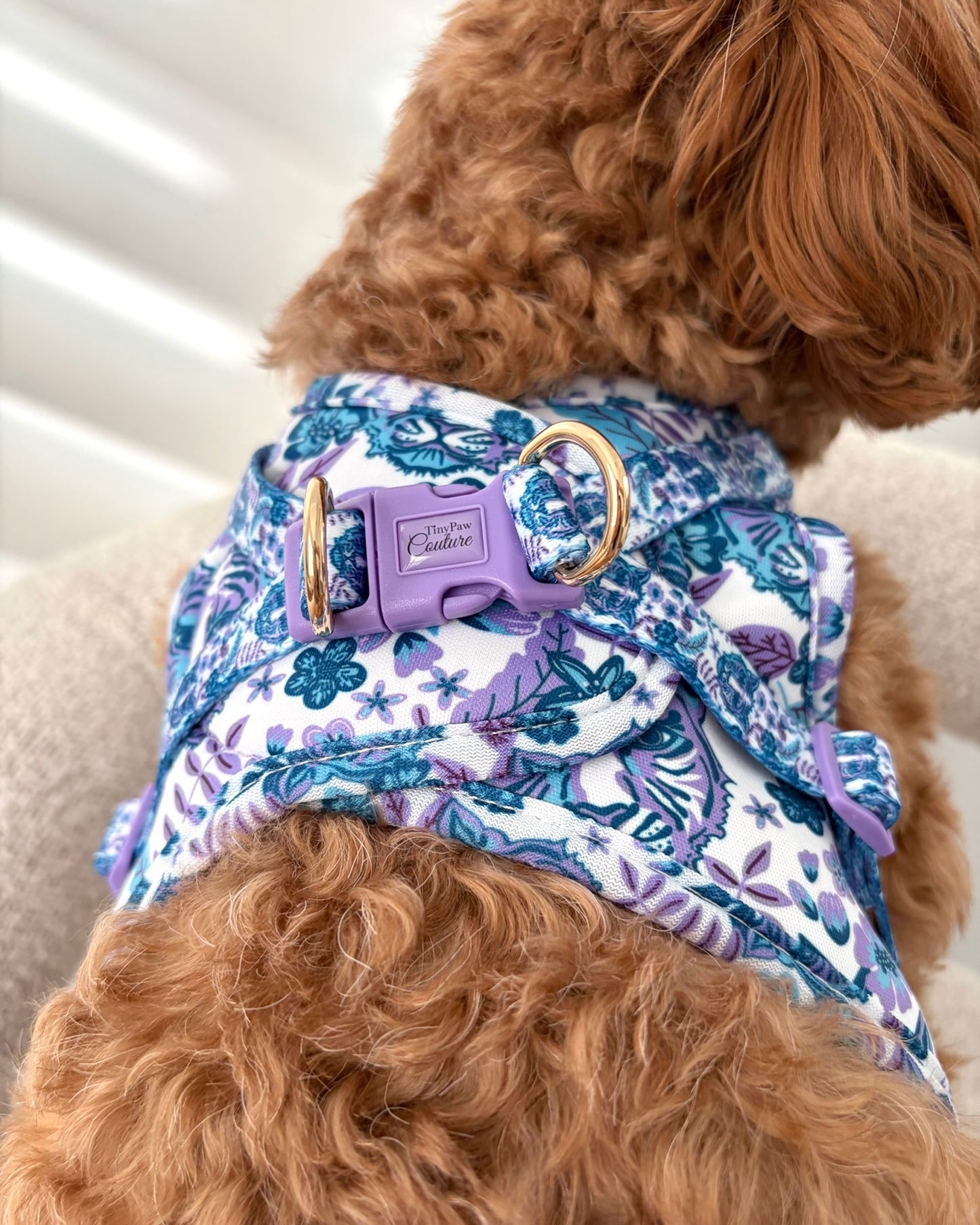 Wet'n'Wild Azure Huntress Harness