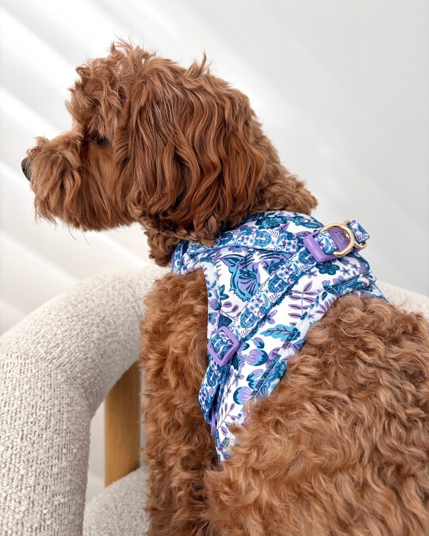 Wet'n'Wild Azure Huntress Harness