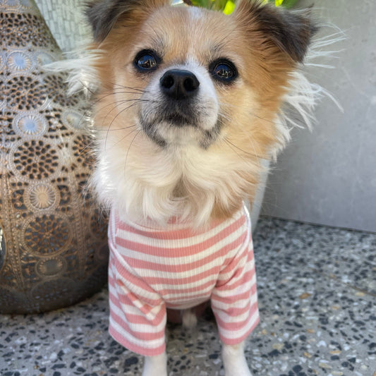 Sammy Striped Top Pink