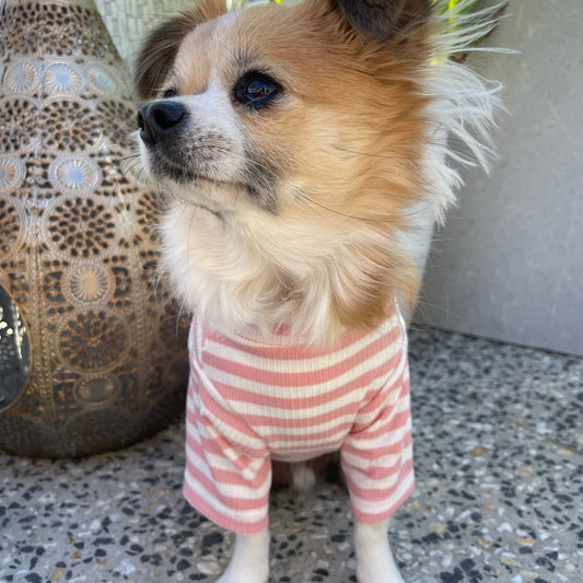 Sammy Striped Top Pink