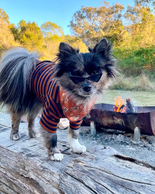 Sammy Striped Top Brown