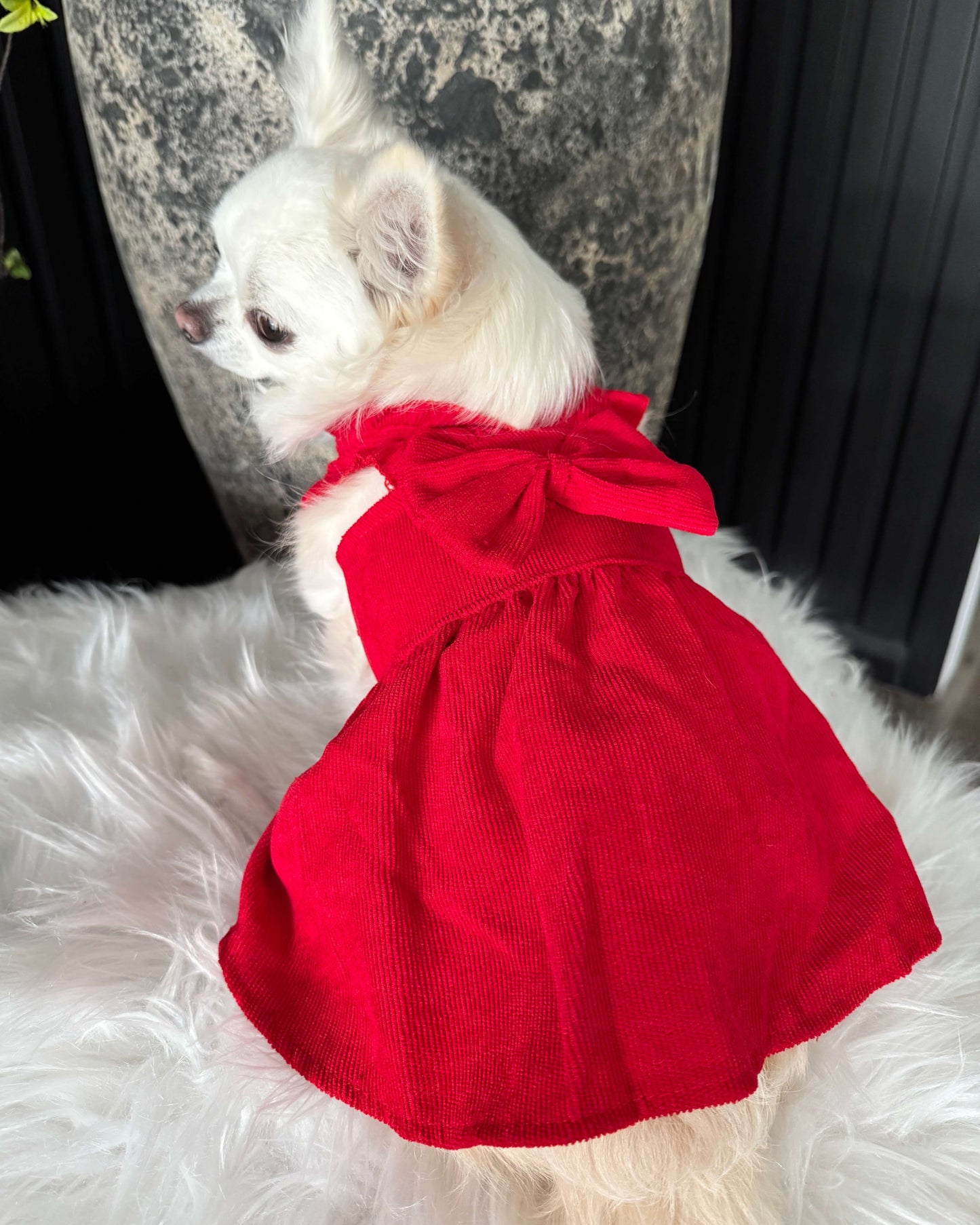 Stella Red Corduroy Dress