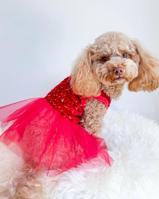 Red Velvet Sequin Tutu