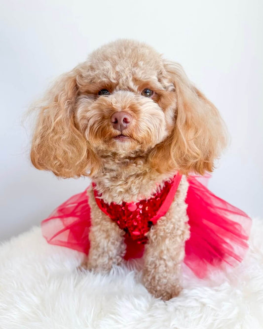 Red Velvet Sequin Tutu