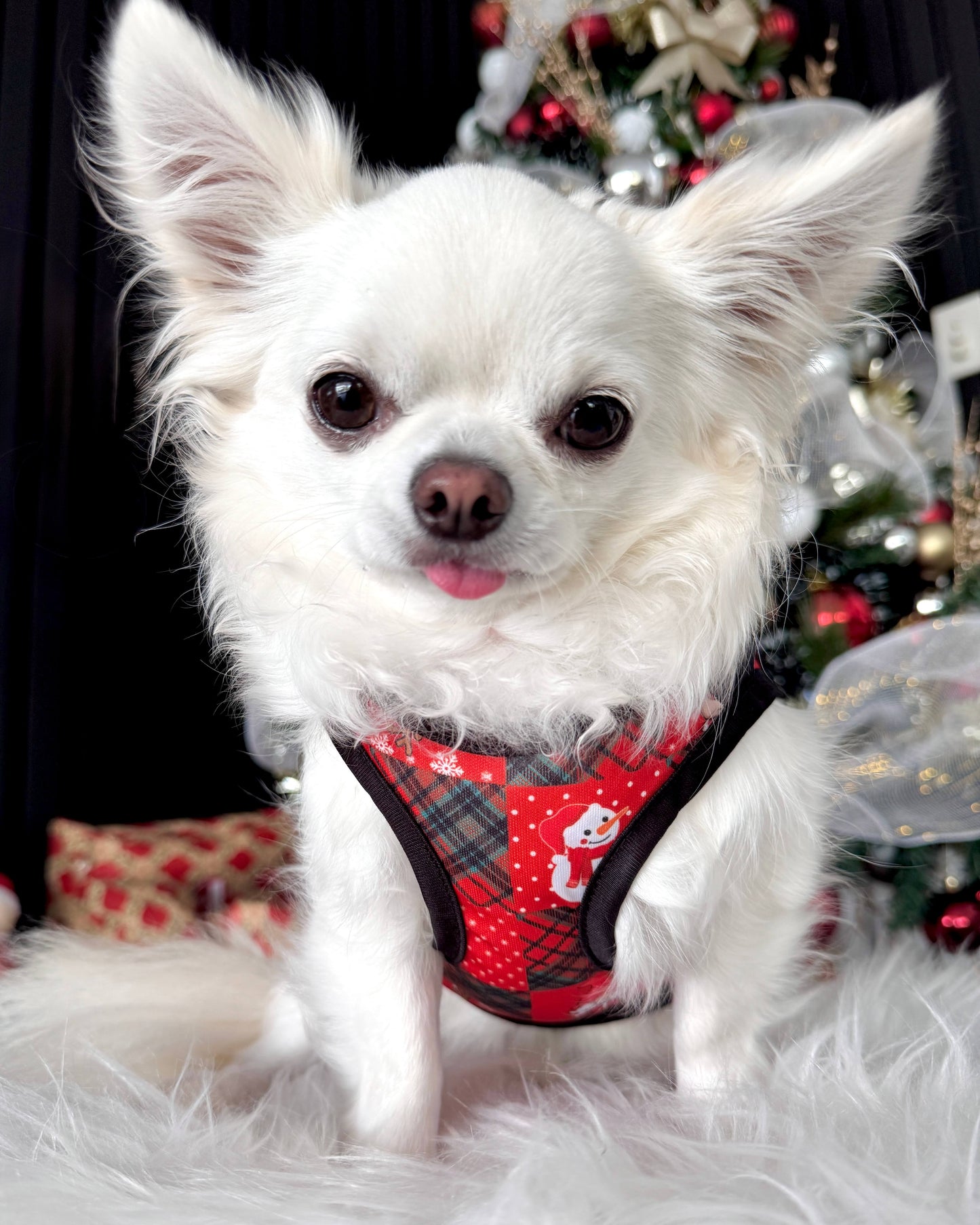 Dapper Christmas Tux Singlet