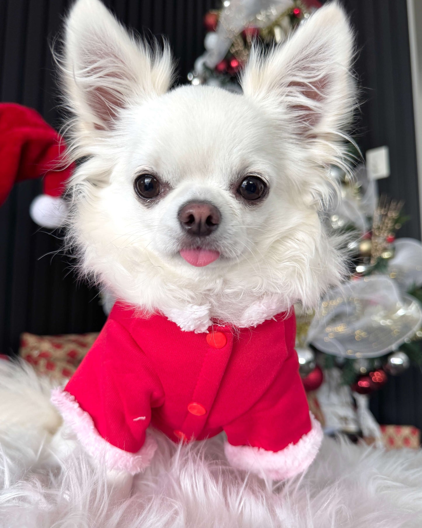 Santa Jacket