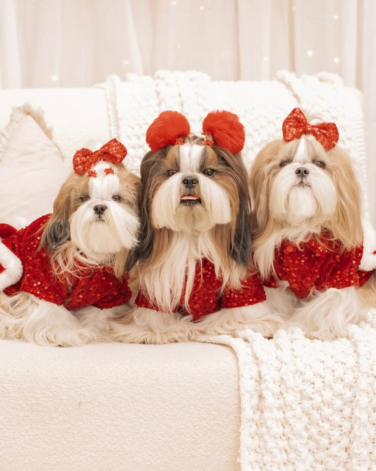 Red Velvet Sequin Shirt